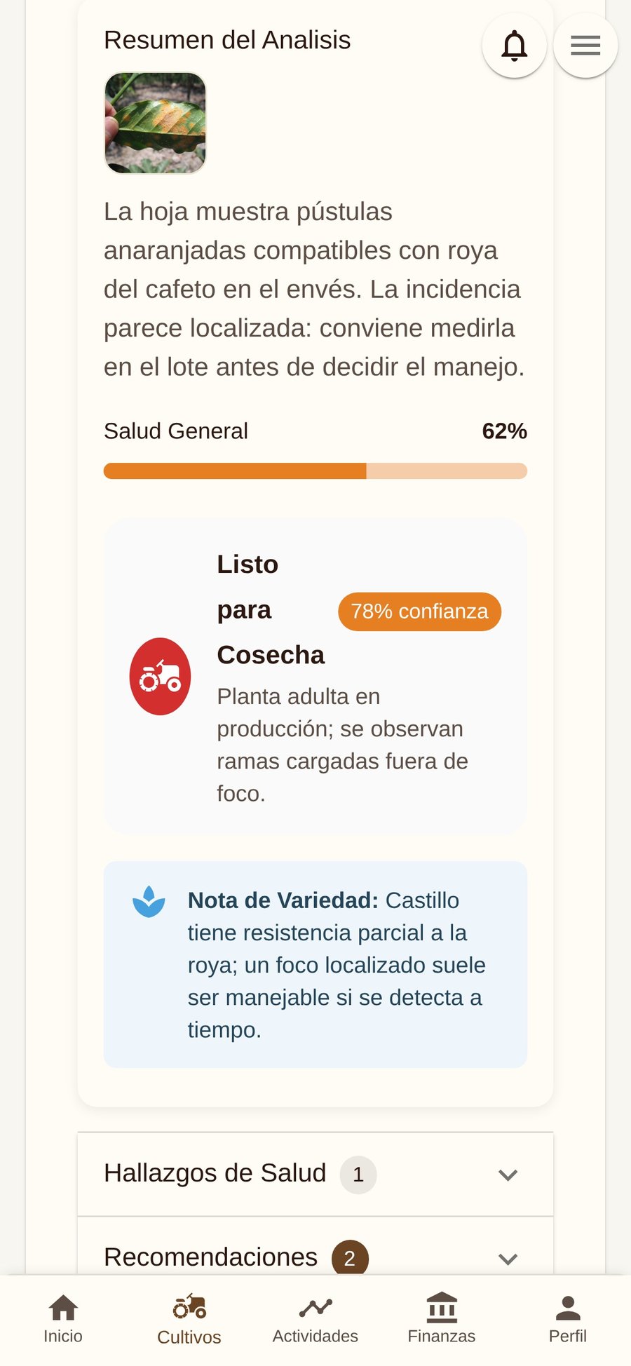 Resultado del análisis IA en Koffibinz: salud general, etapa del cultivo y nota de variedad