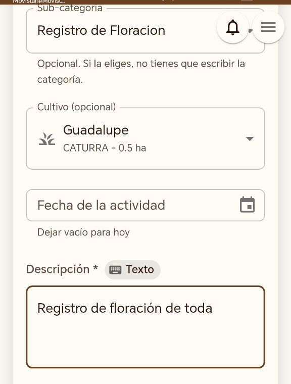 Registro de floración en Koffibinz: sub-categoría Registro de Floración con el lote seleccionado